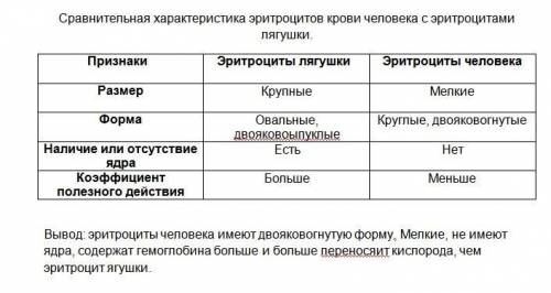 Табл.1.сравнительная характеристика эритроцитов крови человека,с эритритроцитами лягушки. признаки э