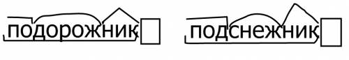 Рассмотрите состав слов подорожник и подснежник найдите сходство и различие