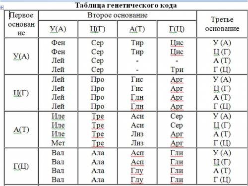 Таблица по нуклеотид название таблицы синтоз белка