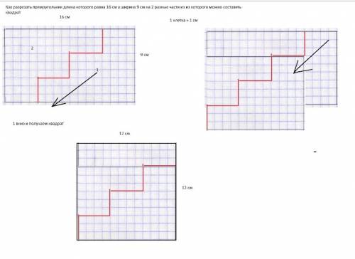 Как разрезать прямоугольник, длина которого 16 см.. а ширина 9 см., на две равные части, из которых