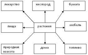 Схема что растения животным и человеку