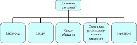 Схема что растения животным и человеку