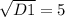 \sqrt{D1} =5