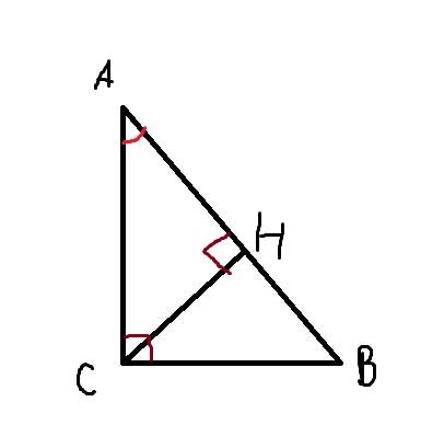 Впрямоугольном треугольнике авс (угол с равен 90°) проведена высота сн. докажите подобие треугольник