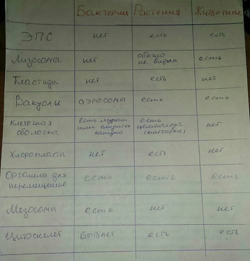 Есть ли у бактерий,растений и животных эпс? лизосомы? пластиды? вакуоли? клеточная оболочка? хлоропл