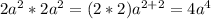 2a^2*2a^2=(2*2)a^{2+2}=4a^4