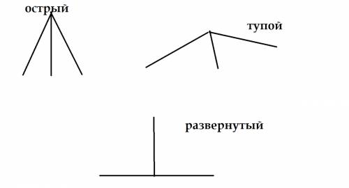 Начертите два угла с общей стороной так чтобы вместе они составляли развернутый угол тупой угол остр