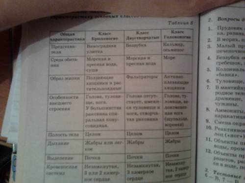 Заполнить таблицу! таблица строение моллюсков часть тела и органы | выполняемые функции| брюхоноги