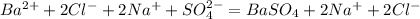 Ba^{2+}+2 Cl^-+2Na^++SO_4^{2-} =BaSO_4+2Na^++2Cl^-