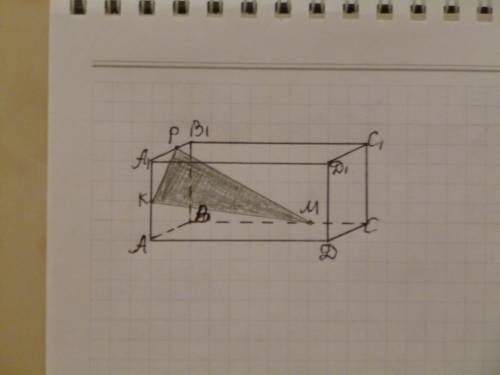 Впараллелепипеде abcda1b1c1d1 точки к, р и м принадлежат соответственно ребрам аа1, а1в1 и вс. постр