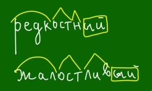 Разобрать по составу слова: редкостный, жалостливый