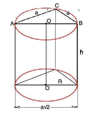 Основание прямой призмы - равнобедренный прямоугольный треугольник. найти радиусоснования цилиндра,