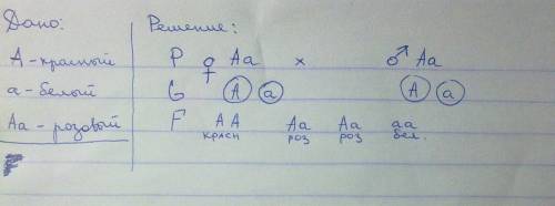 Расскажите как решать генетические разных типов(полное и неполное доминирование,желательно с оформле