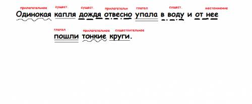 Одинокая капля дождя отвесно упала в воду и от нее пошли тонкие круги. подчиркнуть и разобрать