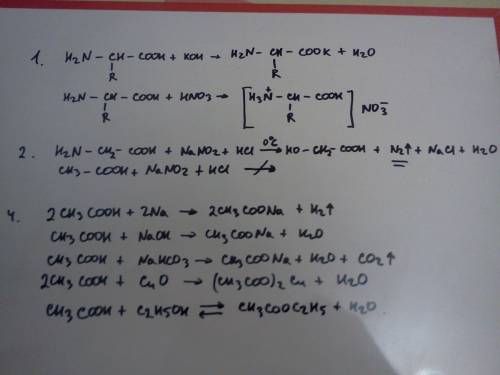 Любые вопросы, . крайне за любую . 1.напишите в общем виде уравнение реакции а-аминокислот с гидрокс