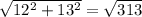 \sqrt{ 12^{2} + 13^{2} } = \sqrt{313}