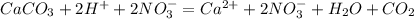 CaCO_{3} + 2H^{+} + 2NO_{3}^{-} = Ca^{2+} + 2NO_{3}^{-} + H_{2}O + CO_{2}