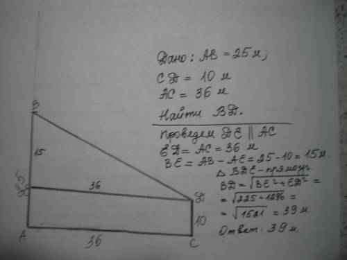 Два дерева растут в 36 метрах друг от друга. высота одного из них равна 25 метров, а высота другого