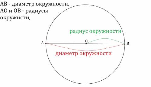 Какой отрезок называют радиусом окружности какой отрезок называют диаметром окружности