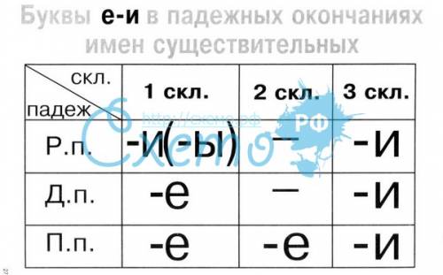 Корзинк(е\и) каких два правила нужно знать для верного выбора буквы окончания