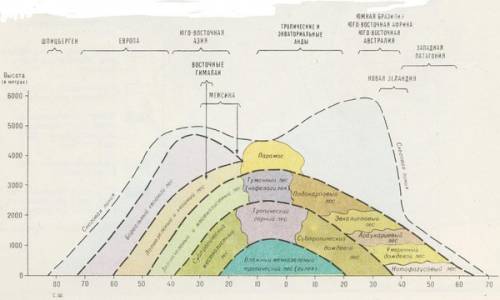 Вчём различие высотной поясности в разных частях анд ?