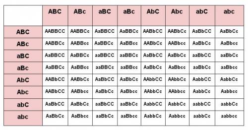 Дигибридное скрещивание p: aabbcc x aabbcc решить ..