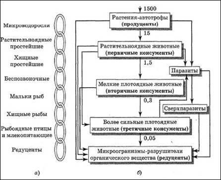 Сочинение на тему экология нашей планеты