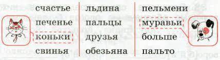 2класс- коту и собачке собрать свои слова: счастье,печенье,свинья, льдина,пальцы,друзья,обезьяна пел