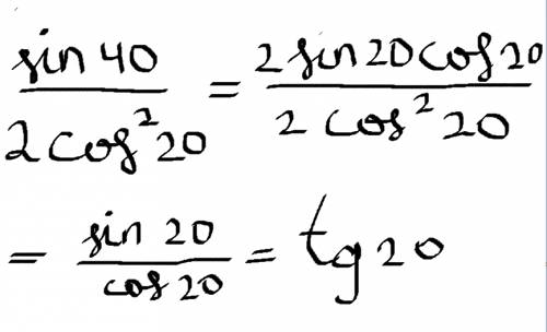 Sin 40 градусов : 2 cos ² 20 градусов =
