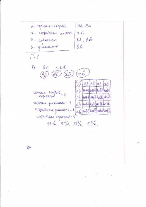 Усобак черный цвет шерсти доминирует над кофейным, а короткая шерсть над длинной. какой процент чёрн