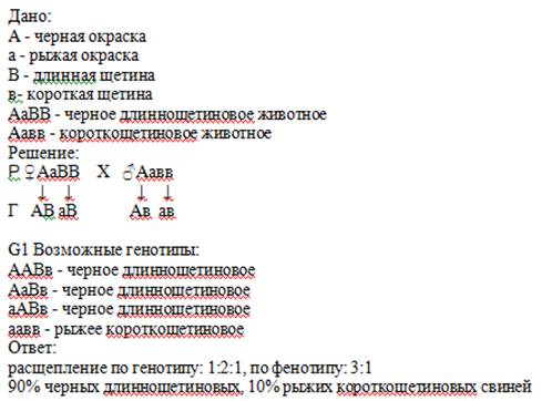 Усвиней черная окраска щетины доминирует над рыжей,а длинная щетина-над короткой.определите генотипы