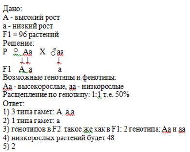 Угороха высокий рост до минирует над низким . гетерозиготные высоко рослые растения скрещены с низко