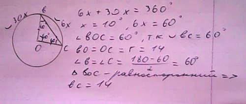 Хорда bc делит окружность 14 на две части, градусные величины которых относятся как 6: 30. найдите х