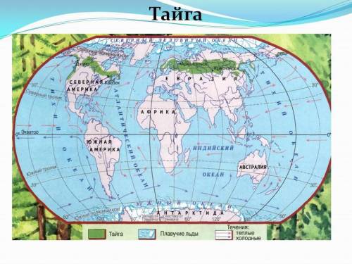 Скажите среднюю температуру тайги в январе и июле!