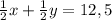 \frac{1}{2}x+\frac{1}{2}y=12,5