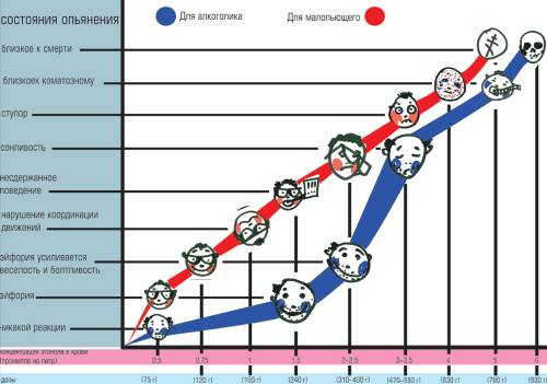 Изобразите в виде схемы движение алкоголя в организме человека