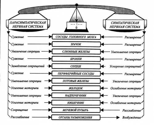 1) основная часть кислорода в крови транспортируется: плазмой крови, а в растворенном состоянии б в