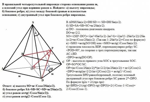 Вправильной четырехугольной пирамиде сторона основания равна m, а плоский угол при вершине равен α.