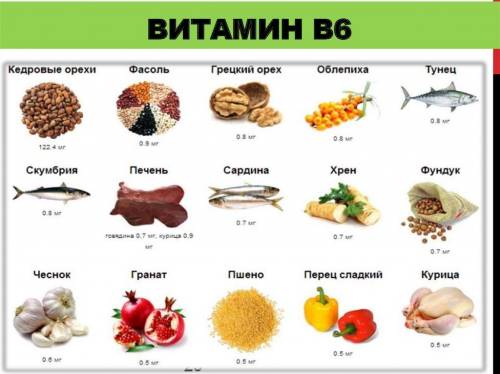 ответить на опросы как можно кратко и понятно . (8 класс) 1.что такое основной обмен? почему он мень