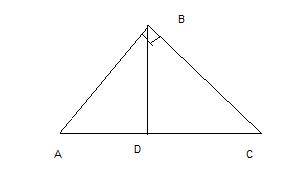 Высота bd прямоугольного треугольника abc равна 24 см и отсекает от гипотенузы ac отрезок dc,равный