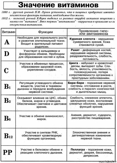 Таблица витаминов нарисовать таблицу