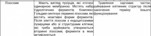 Яку загальну функцыю в клытины виконують одномембранны органели?