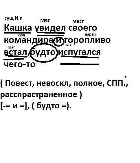 Сделать синтаксический разбор кашка увидел своего командира и торопливо встал,будто испугался чего-т