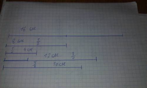 Начерти отрезок длиной 16 см. под ним начерти отрезки, равные половине данного отрезка; одной четвёр