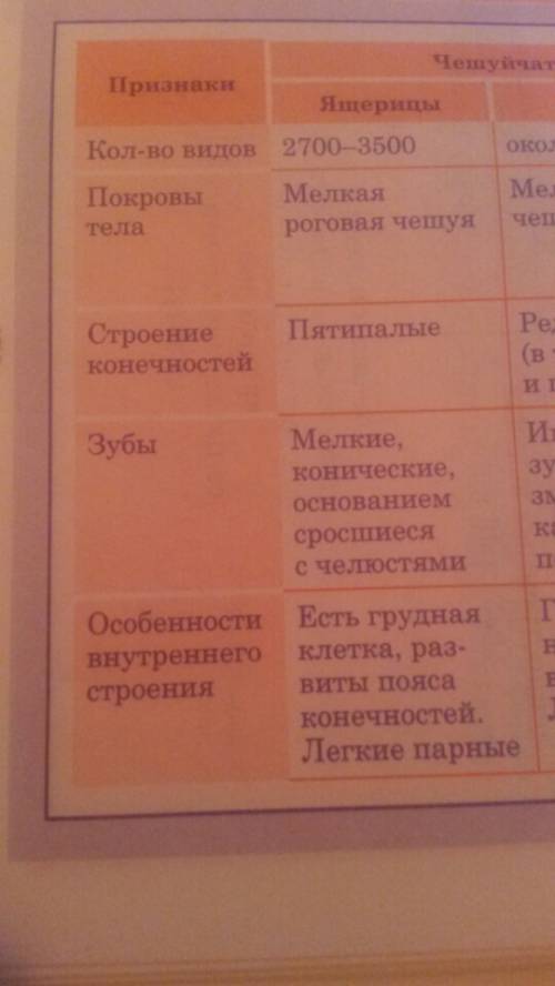 Назовите отделы скелета ящерицы.каковы особенности их строения и значение?