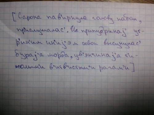 Затранскрибируйте текст. сорока повернула голову набок,прислушалась. из припудренной утренним инеем