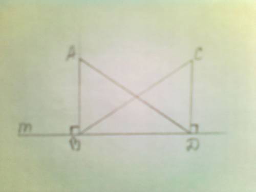 Кпрямой m проведены перпендикуляры ab и cd. докажите , что треугольник abd=треугольнику cdb,если ad=