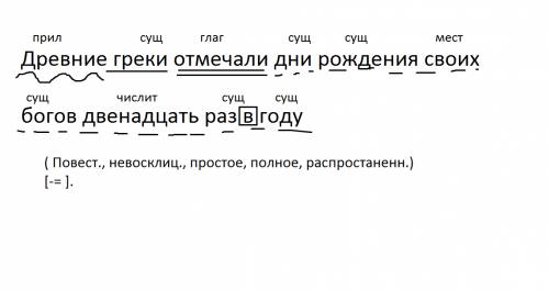 Синтаксический разбор предложения древние греки отмечали дни рождения своих богов двенадцать раз в