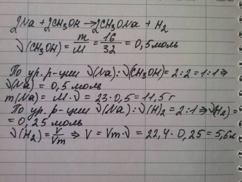 Вычислите массу na, который может полностью прореагировать с 16 г метанола . рассчитайте объём h2, к