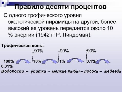 Составление схем пищевых цепей и переноса энергии в экосистеме